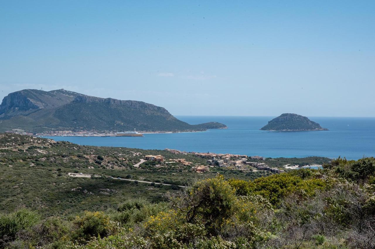 Casa Valery Wonderful Sea View Lägenhet Porto Rotondo Exteriör bild