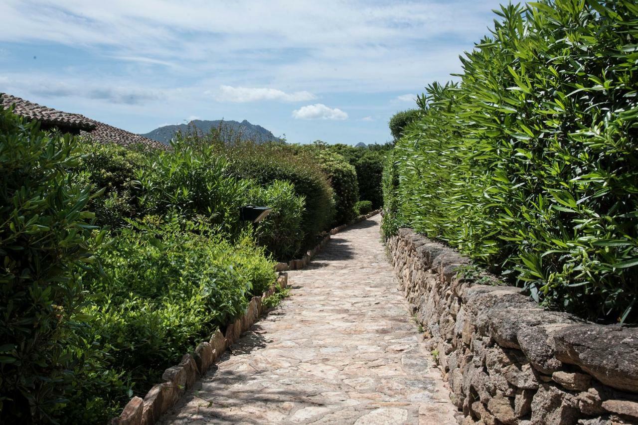 Casa Valery Wonderful Sea View Lägenhet Porto Rotondo Exteriör bild