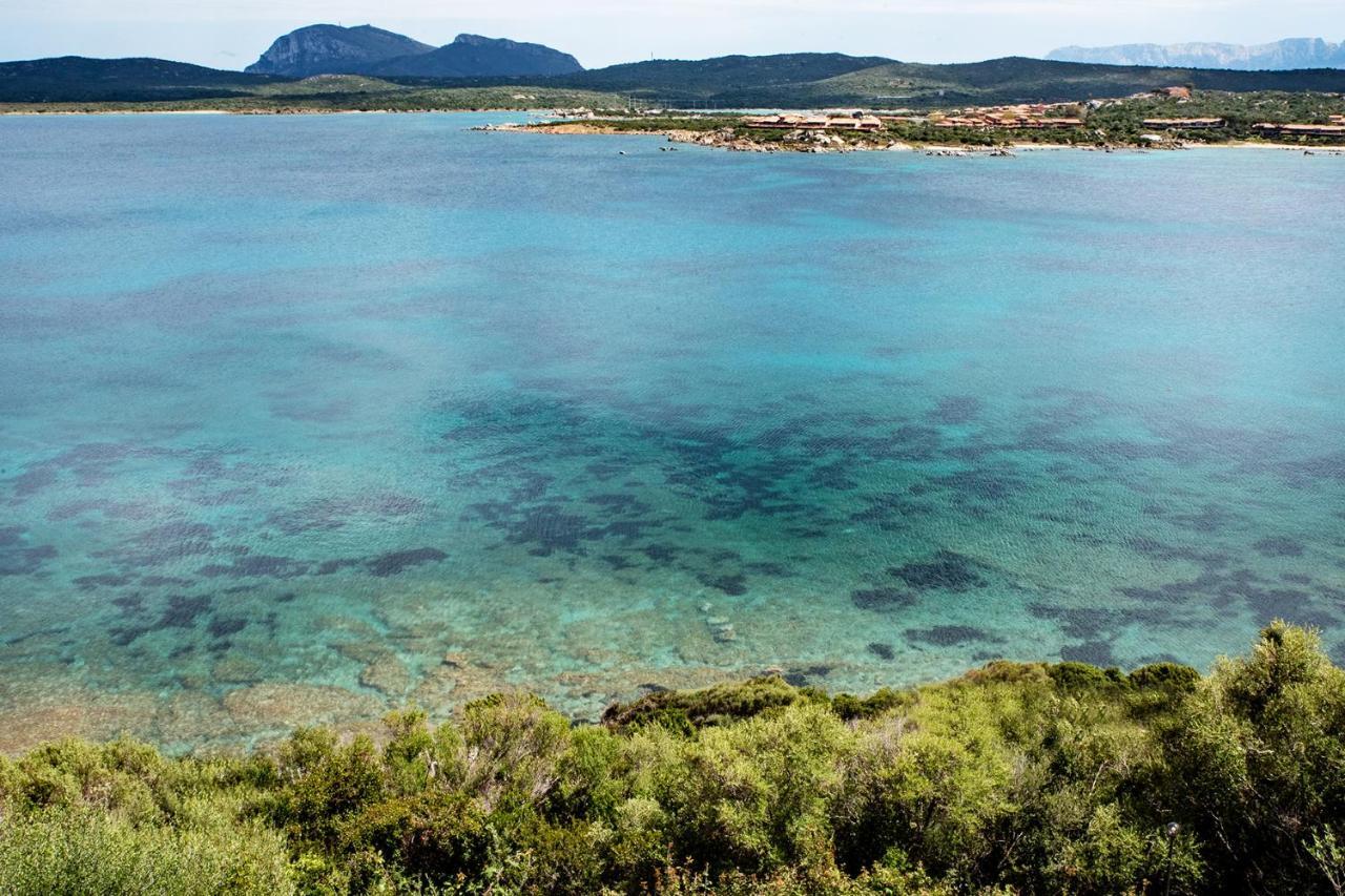 Casa Valery Wonderful Sea View Lägenhet Porto Rotondo Exteriör bild